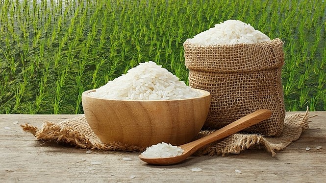 Giá lúa gạo hôm nay 237 Giá lúa Đài thơm 8 bật tăng  DNTT online