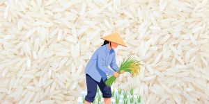 VN_ExportRicePrices (2)