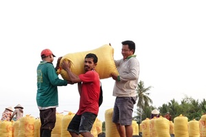 bao thanh nien