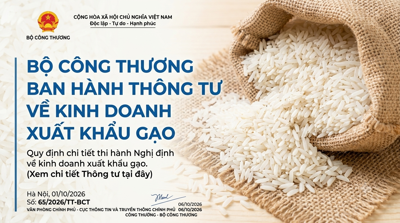 THONG TU 65 VFA